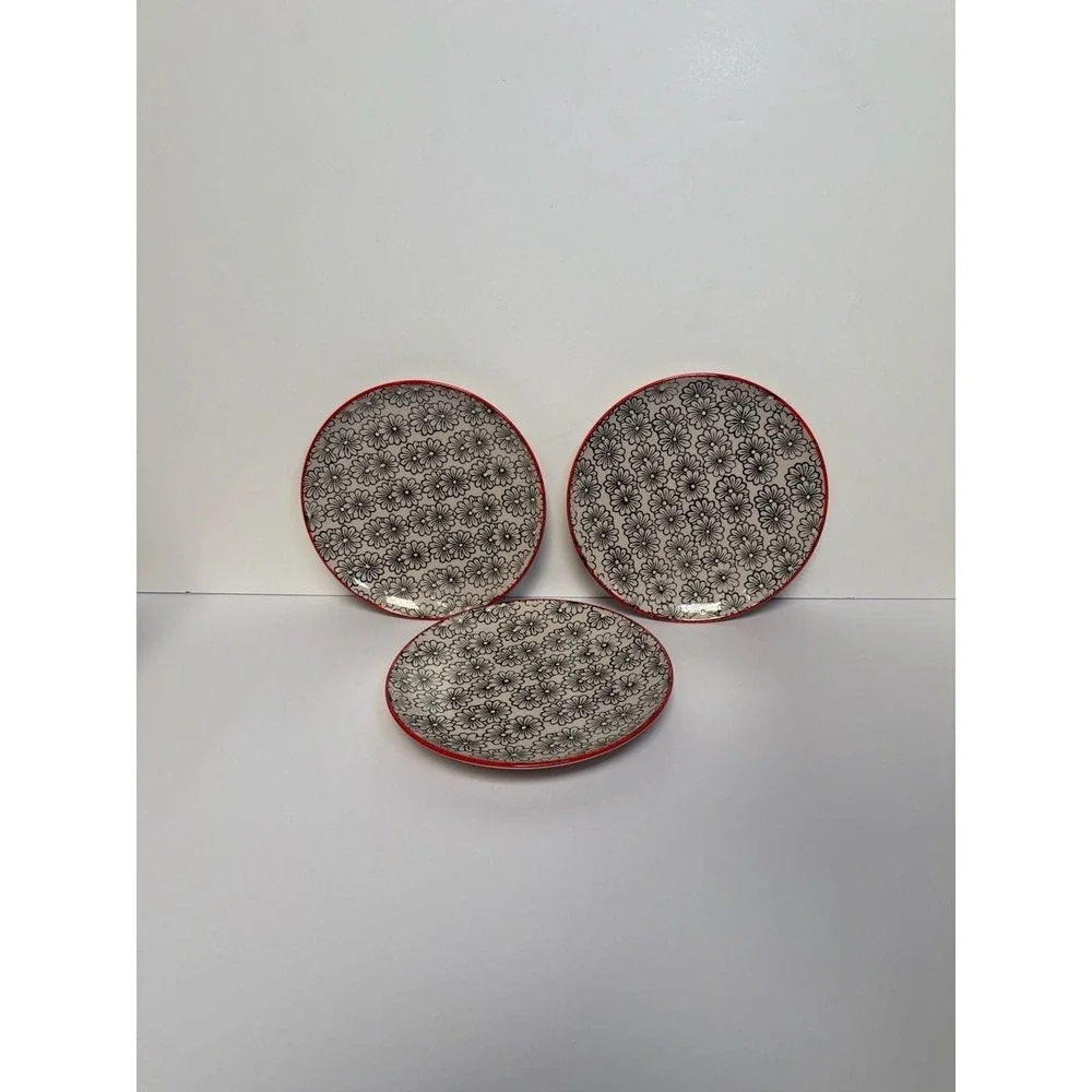 Yokohama Studio Hand Painted Daisy Floral Pattern Plates with Red Rim - Set of 3